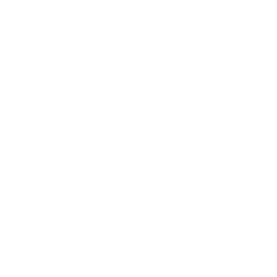 World Chain logo