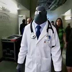 Pigeon Doctor (PIGEON)