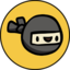 Ninja Squad Token Crypto Coin Icon