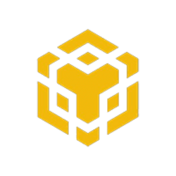 Multichain Bridged WBNB (Avalanche C-Chain)