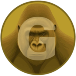 Gorilla/