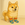 sock-inu