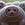 tardigrades-cult
