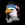 seagle