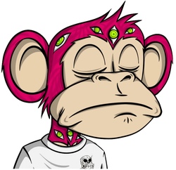Price of jungle bay memes (24h)