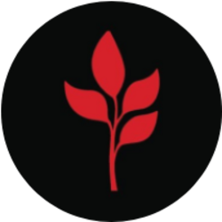 Price of MarsMi (24h)