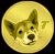 Teddy the Tile Doge