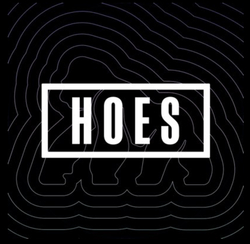 Price of ApeChainHOES (24h)