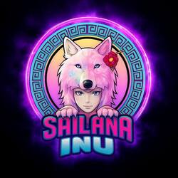 Price of Sailana Inu (24h)