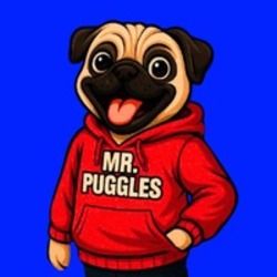 Price of Mr Puggles (24h)