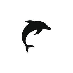 Price of Dolphin (24h)