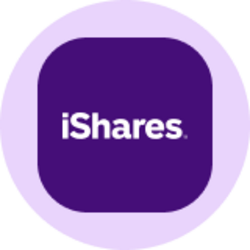 iShares Core MSCI Emerging Markets ETF (Ondo Tokenized ETF)