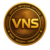 Virtual Network Service Coin Logo