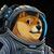 DOGE-1 Satellite logo