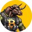 BTC Bull Token