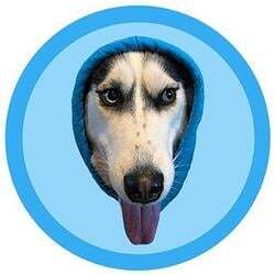doginhood