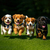 I love puppies 