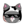 kitcoin-2
