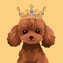 BunPoodle/