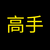 高手 (A Pro)