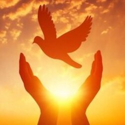 世界和平 (World Peace)