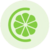 Yuzu USD icon