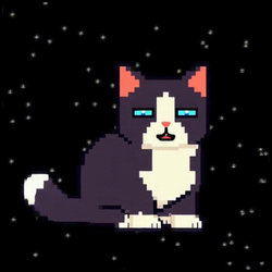 logo Spacecat