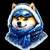 Winter Doge logo