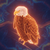 Aura Farming Eagle logo