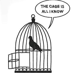 The cage is all I know