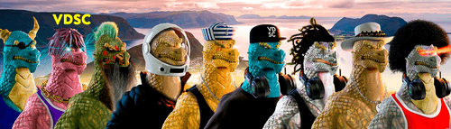 Bannière Volted Dragons Sailors Club - VDSC