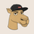 Camels logo