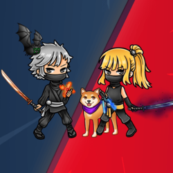 NinjaVerse NFT Latest Floor Price, Charts, and Market Cap Data